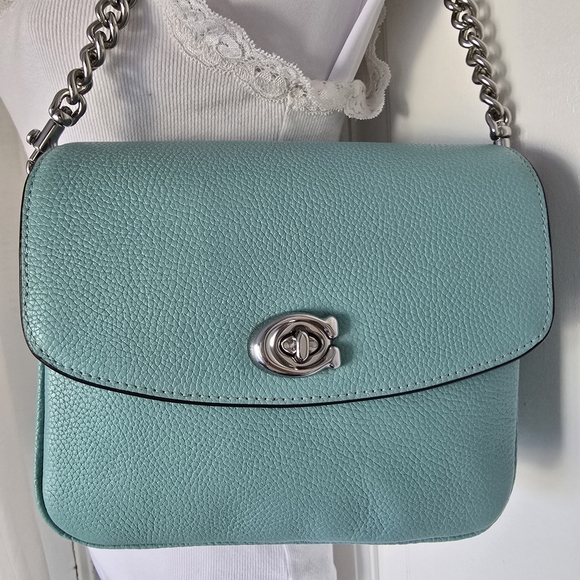 Coach Cassie 19 Pebble Leather Silver-tone Chain Shoulder Top Handle Crossbody - Picture 6 of 16